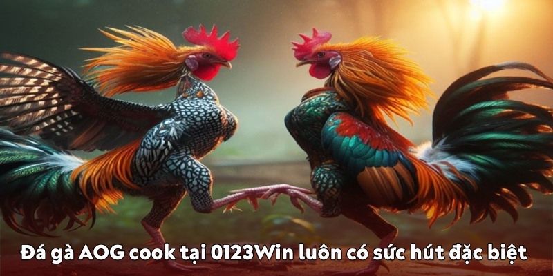 AOG cook tại 0123Win luôn có sức hút đặc biệt AOG cook tại 0123Win