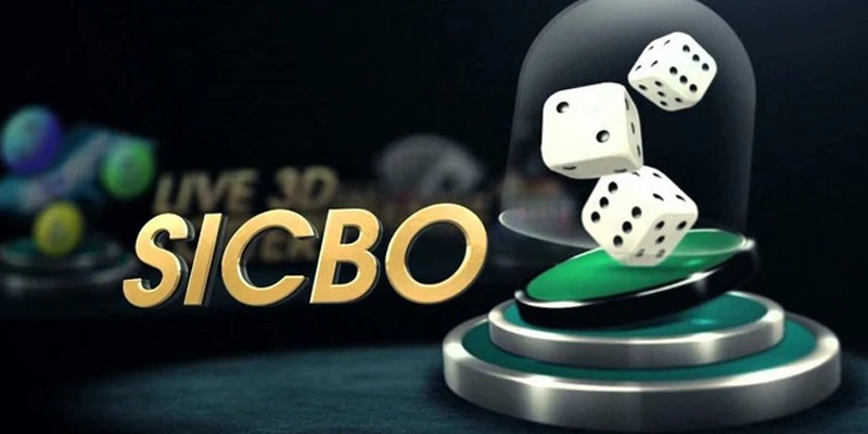 Live sicbo casino - Tận hưởng không gian cá cược đỉnh cao